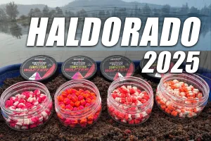 2025 haldorado