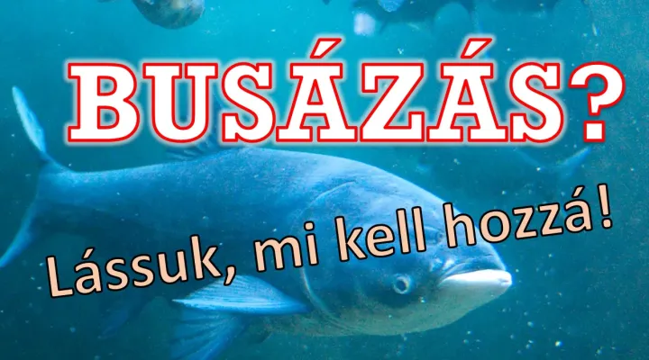 busahorgászat