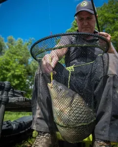 Matrix Carp Latex L Net Méret: 55x45 cm - Matrix Nagy Gumírozott Merítőfej