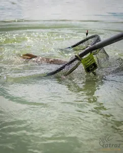 Matrix Carp Latex L Net Méret: 55x45 cm - Matrix Nagy Gumírozott Merítőfej