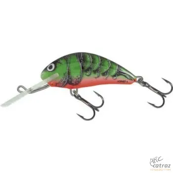 Salmo Hornet H6F RVC - Salmo Wobbler