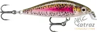 Rapala FNM05 RTL - Rapala X-Light Minnow Wobbler