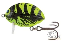 Salmo Lil Bug BG2F WSP - Salmo Floating Wobbler Wasp