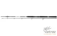 Daiwa BG Offshore Pilk 3,00m 50-165 gramm - Daiwa Pergető Bot